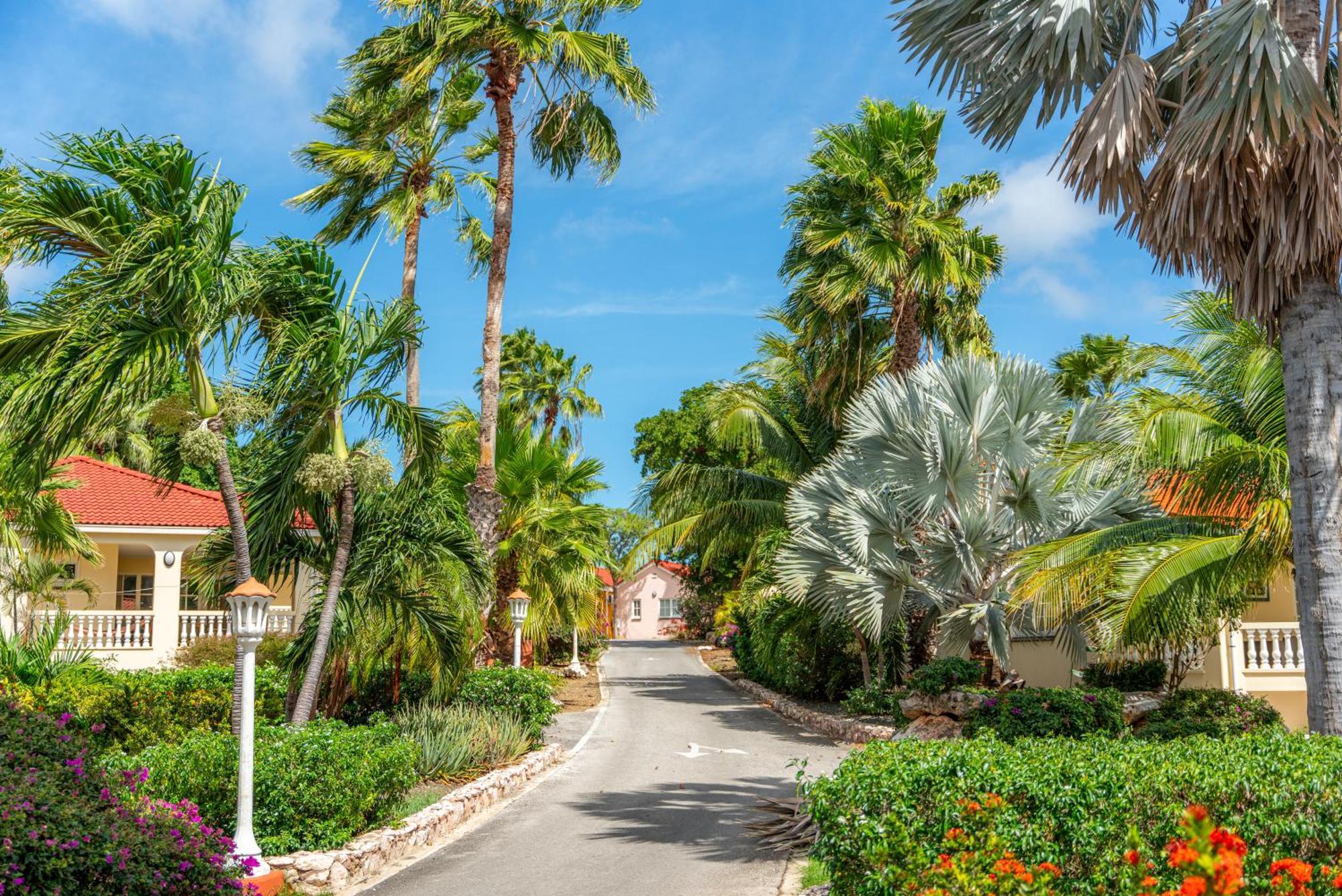 Livingstone Jan Thiel Resort Willemstad Dış mekan fotoğraf